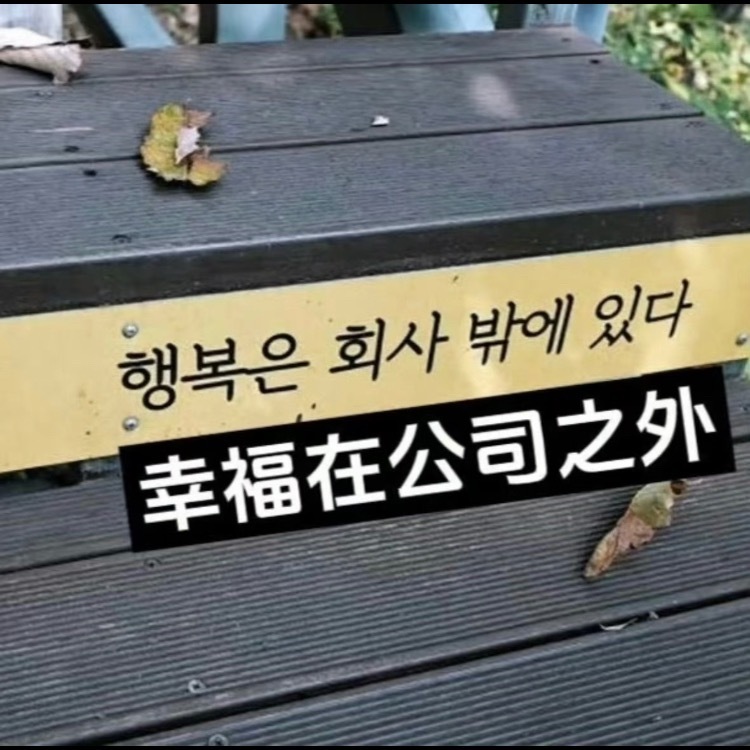 打工人有自己的韩语meme 💬我的精神状态凉好抽象