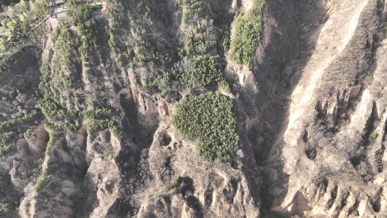 《黄土塬》：庆阳的黄土塬是典型的黄土高厚地貌，纵横交错，沟壑遍布，黄土风光 十分