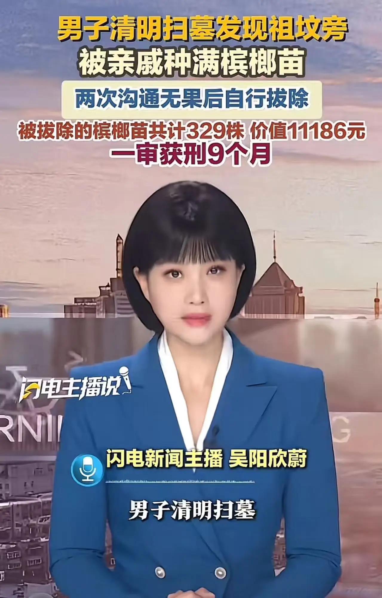 海南祖坟槟榔苗案反转：9个月刑期背后，是中国人最痛的根与法之争
 
清明祭祖，本