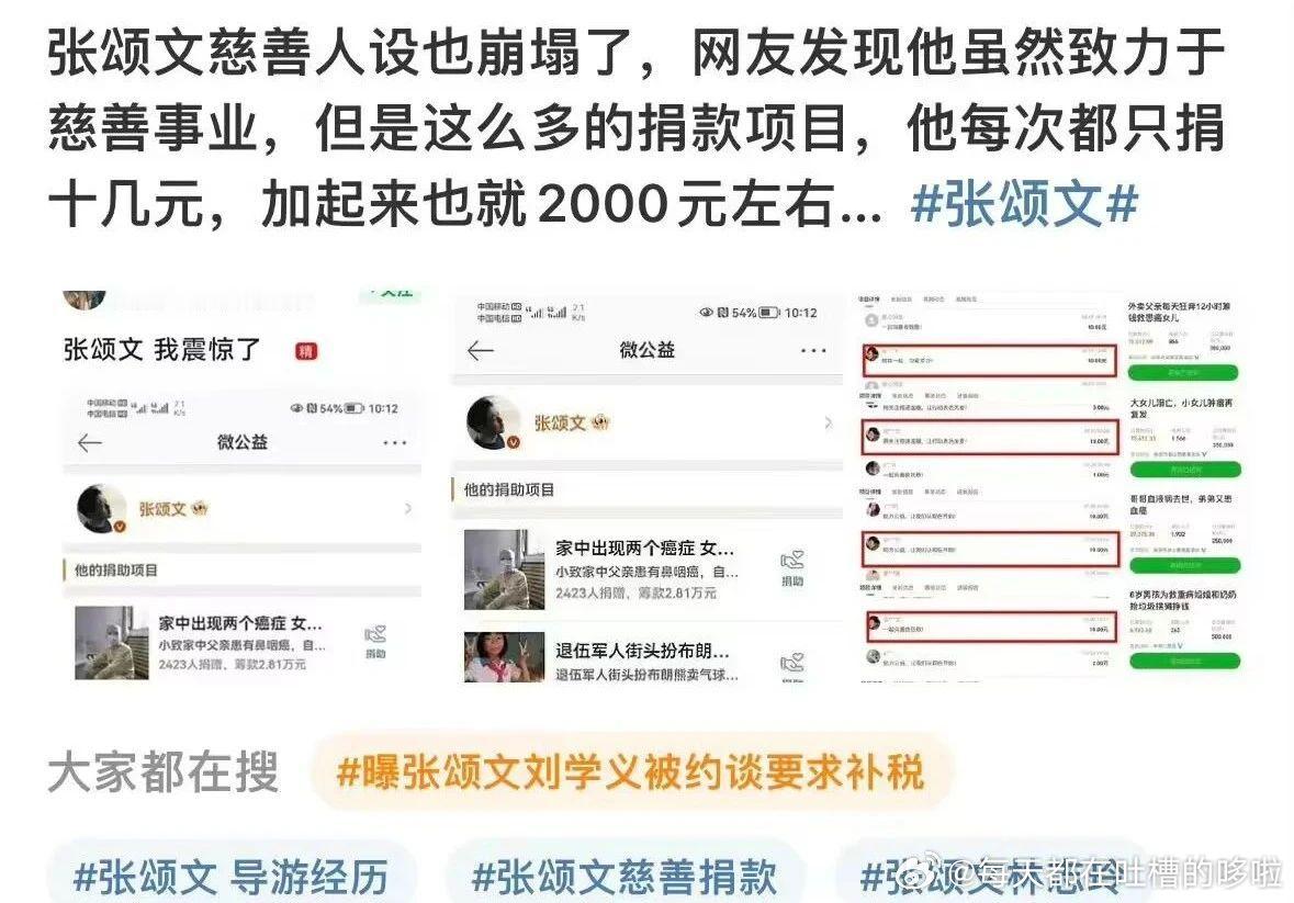 张颂文营销过“慈善”人设，说是他参与了200多个慈善项目。每个项目的捐款数额在1