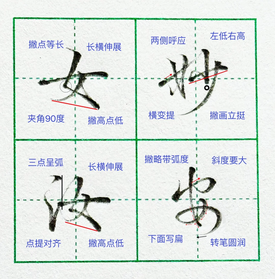 硬笔行楷|“女”字在不同位置的写法‼️