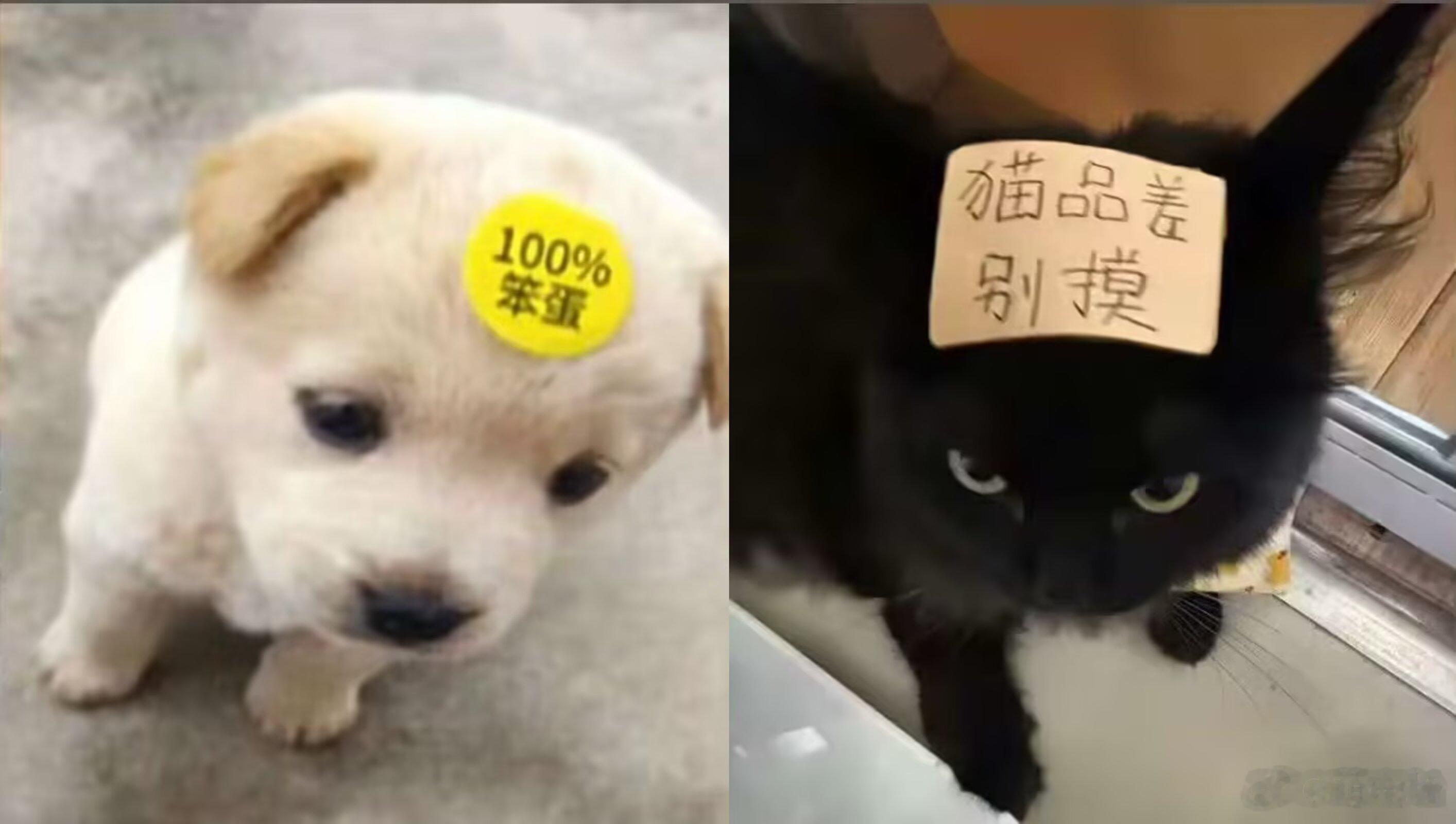 我产概念： ​​​