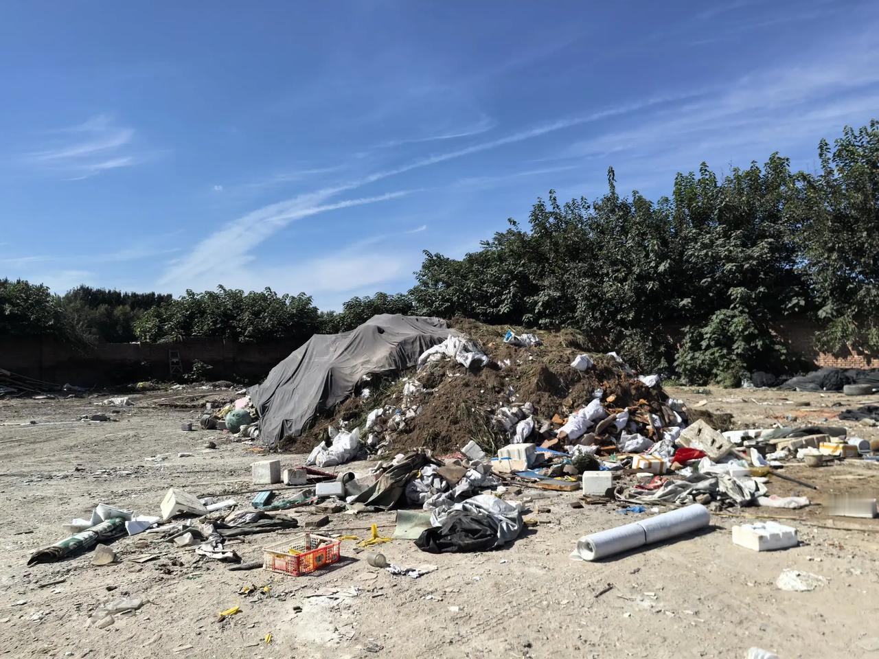 英国官方在28号正式通报了一件大快人心的事——伦敦有4个胆大包天的人，长期大规模