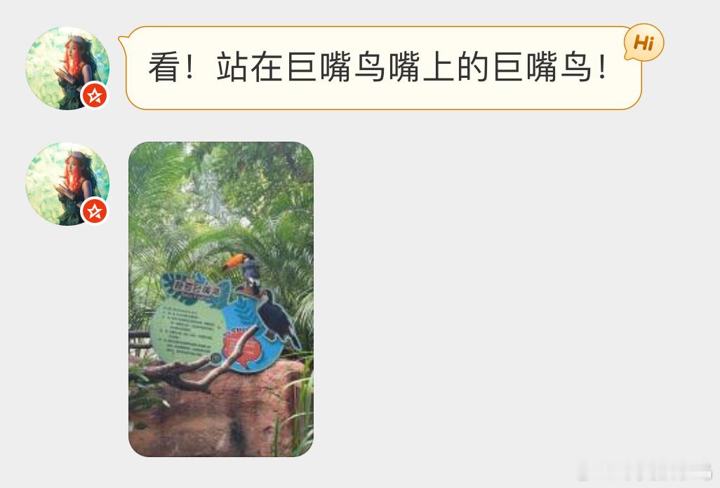 巨嘴鸟：这下看清楚了吧！ ​​​