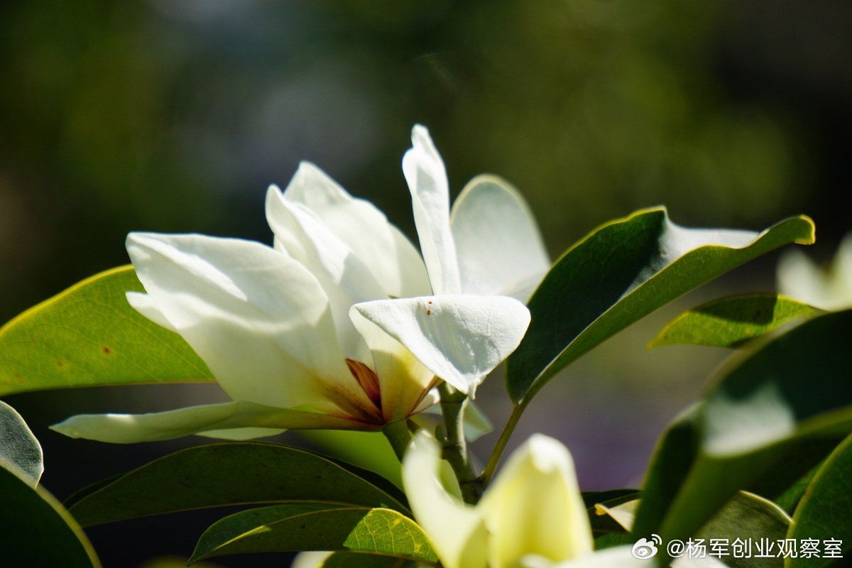 创业成功当然需要有行业经验，相关DNA很重要但真正能颠覆行业的，往往是“外行”的