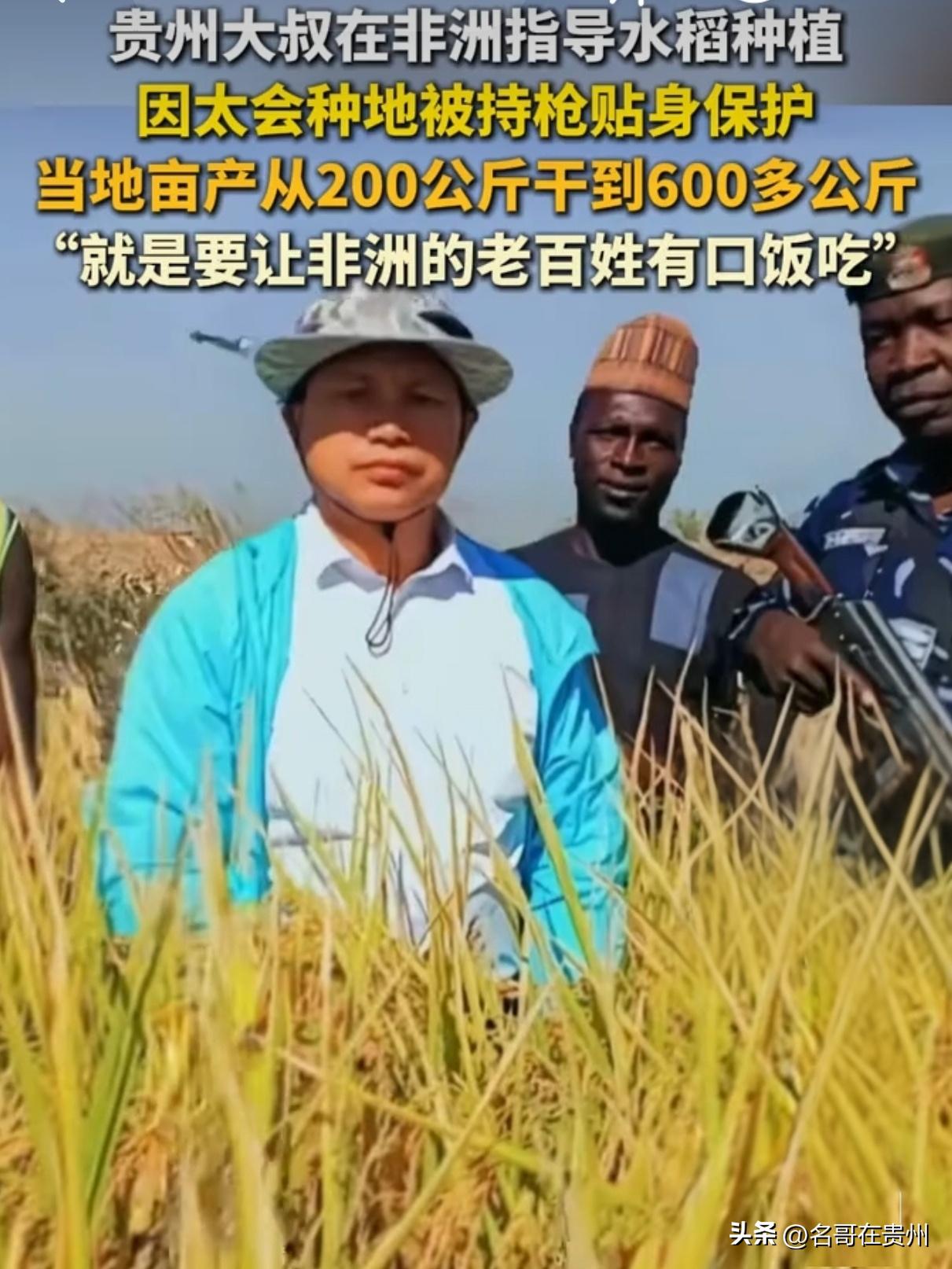贵州大叔去非洲种水稻，当地派持枪武警保护！凭啥？

一觉醒来，在非洲种地被持枪武