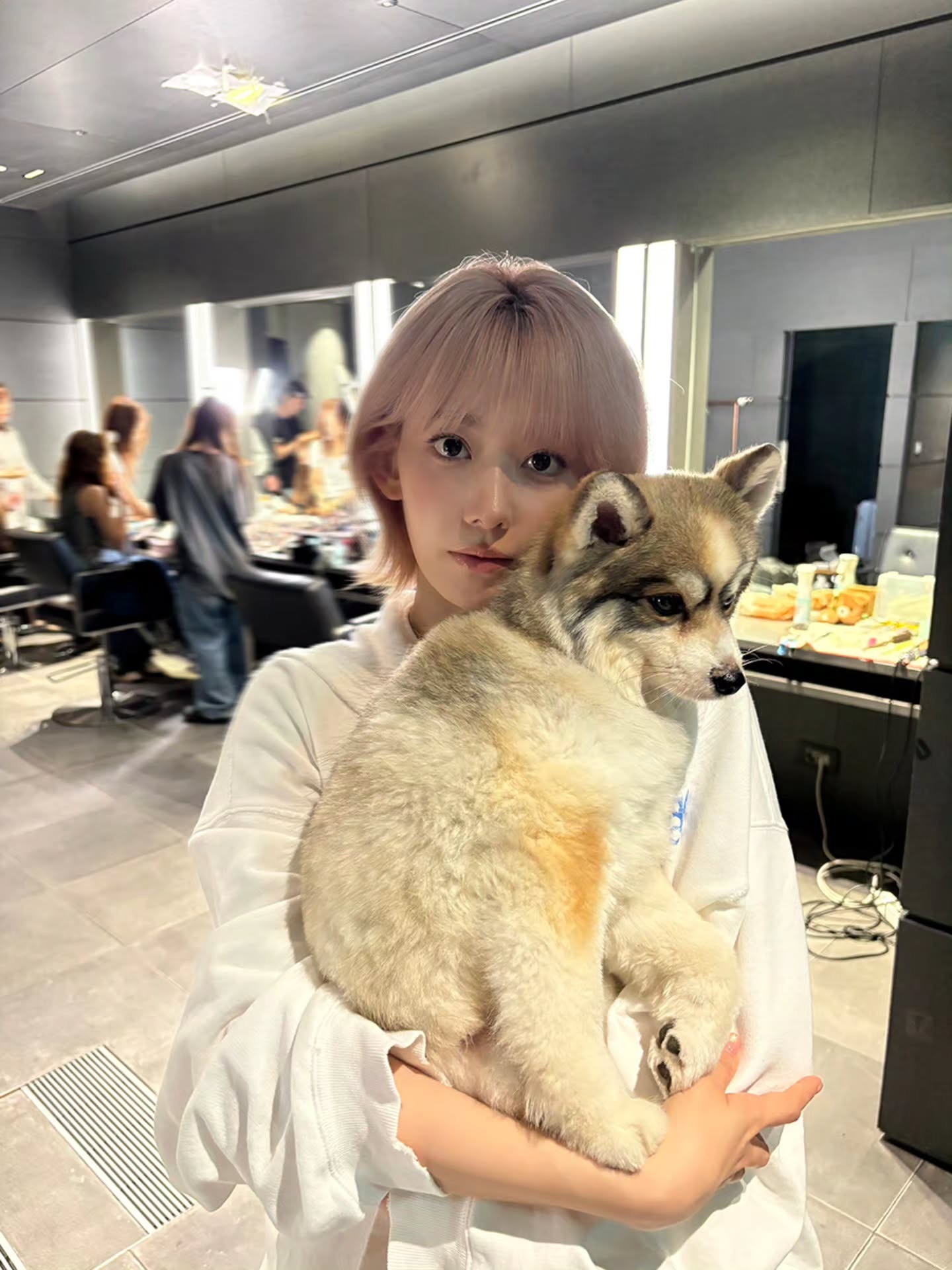 🐱🐶 