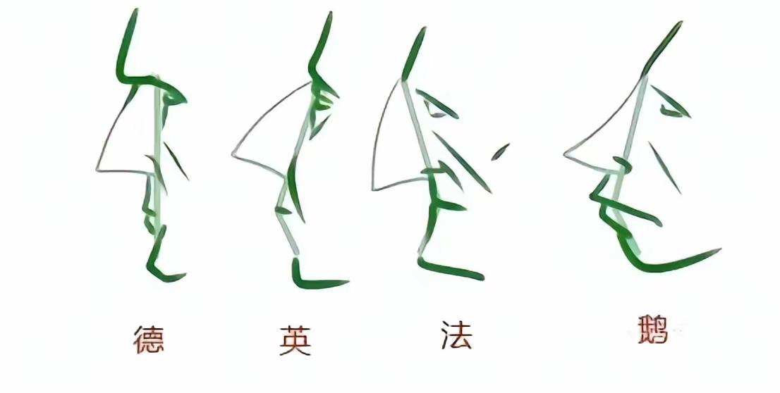 看来差距主要在鼻子