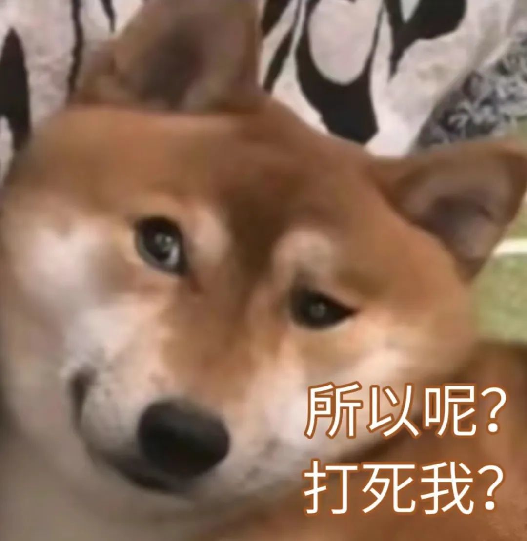拜仁替补阵容⬇️ 