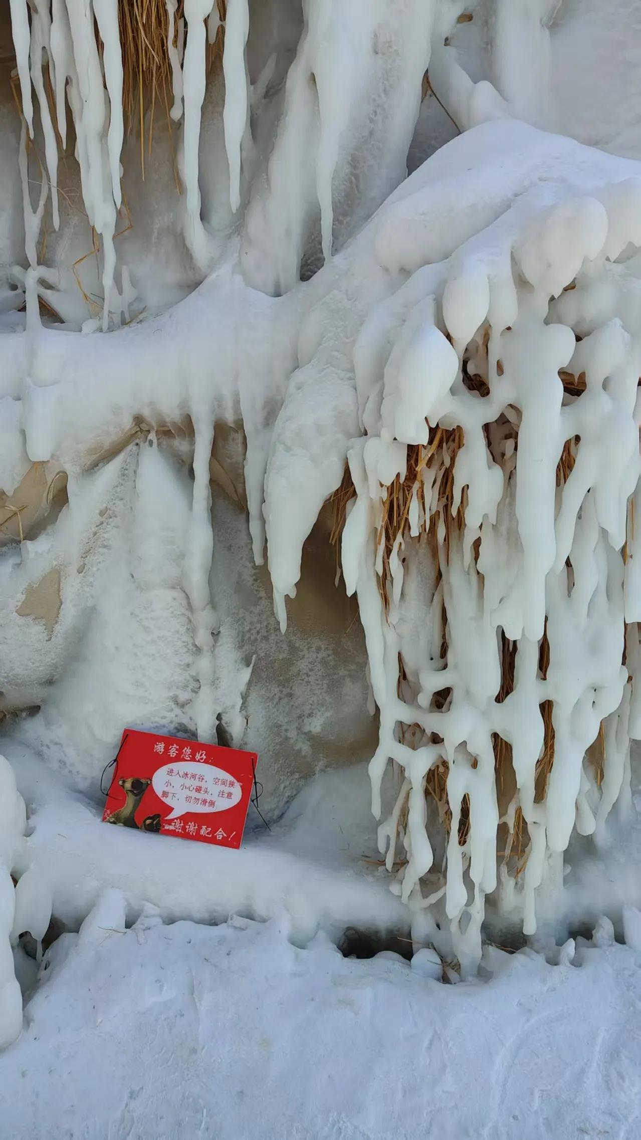 看过了冰雕雪雕再来看看人造雾凇和冰挂，简直是饱览了所有的冰雪奇观，太震撼了[赞]