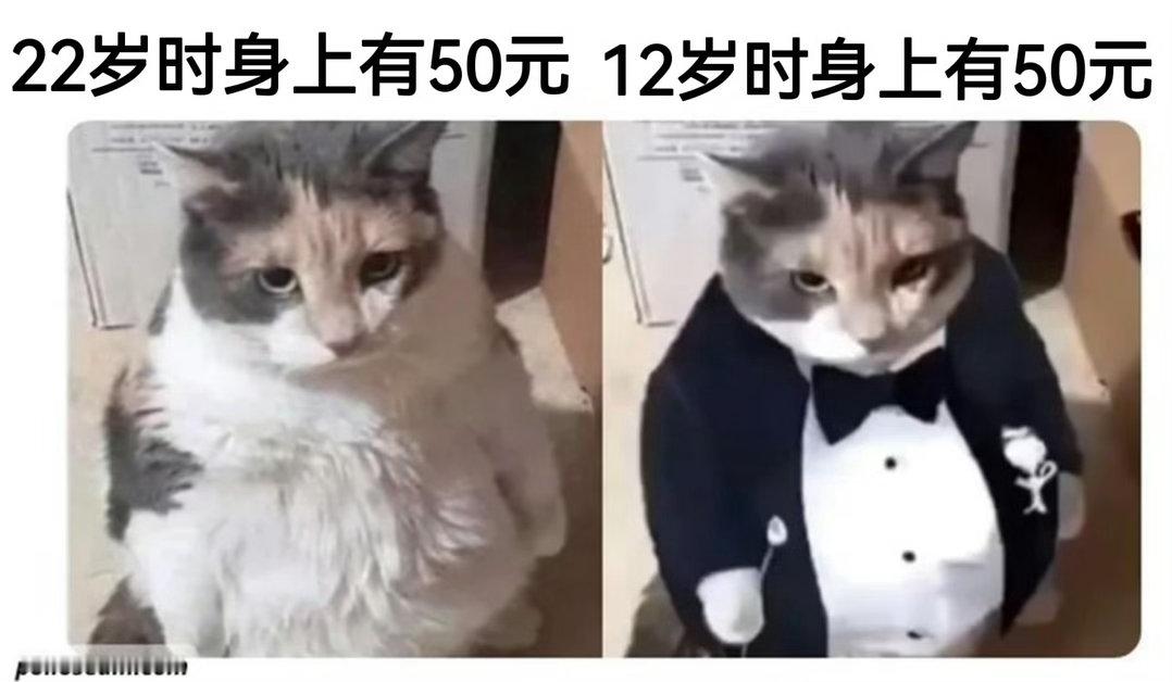 还真是 