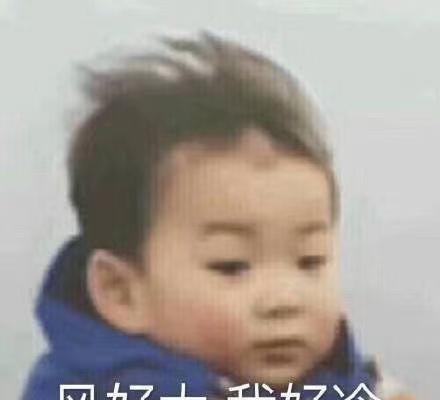 原来长沙这么大的风算自然灾害了嘛[笑哭][笑哭][笑哭][笑哭][笑哭][笑哭]