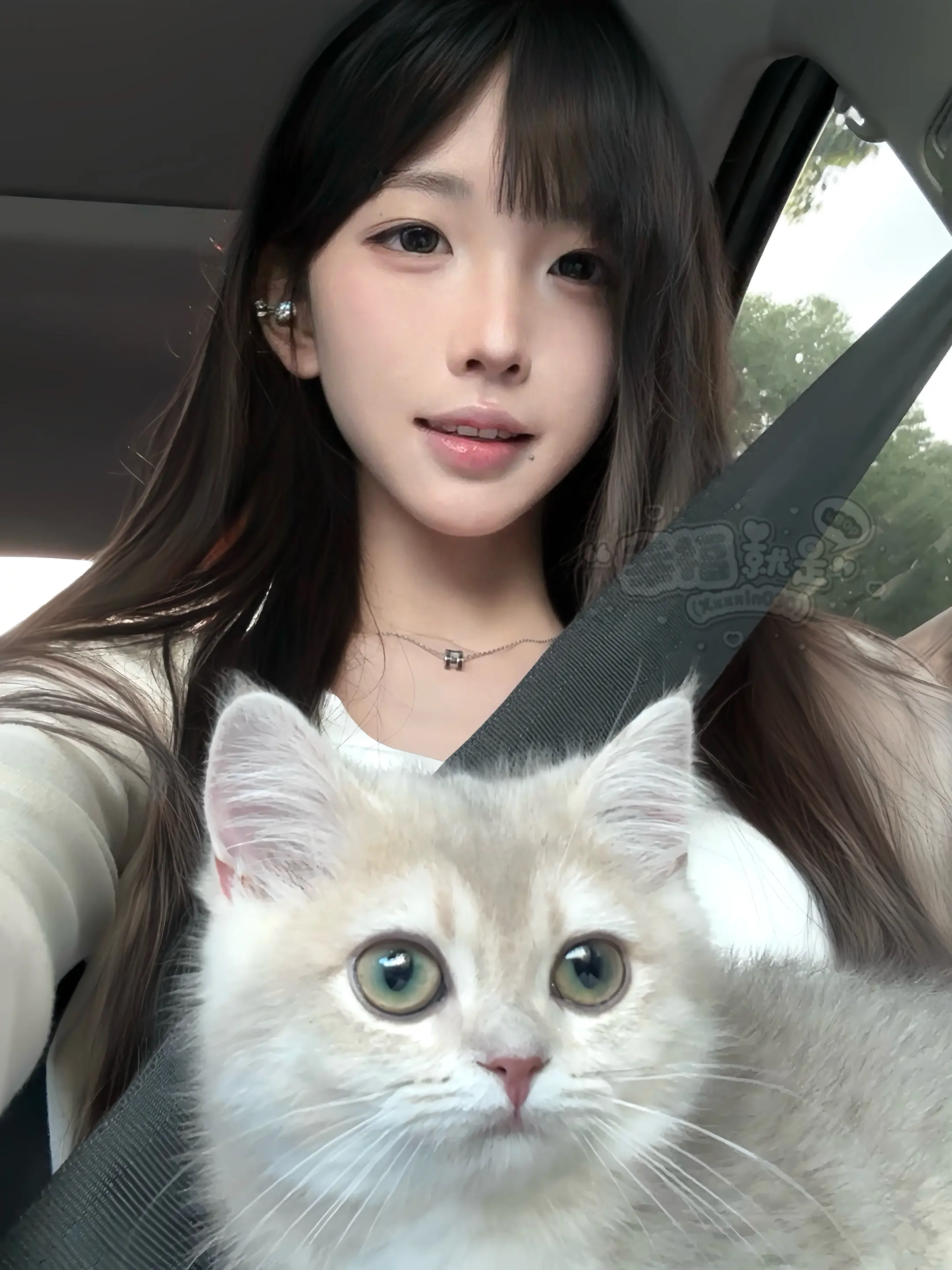 谁比较萌