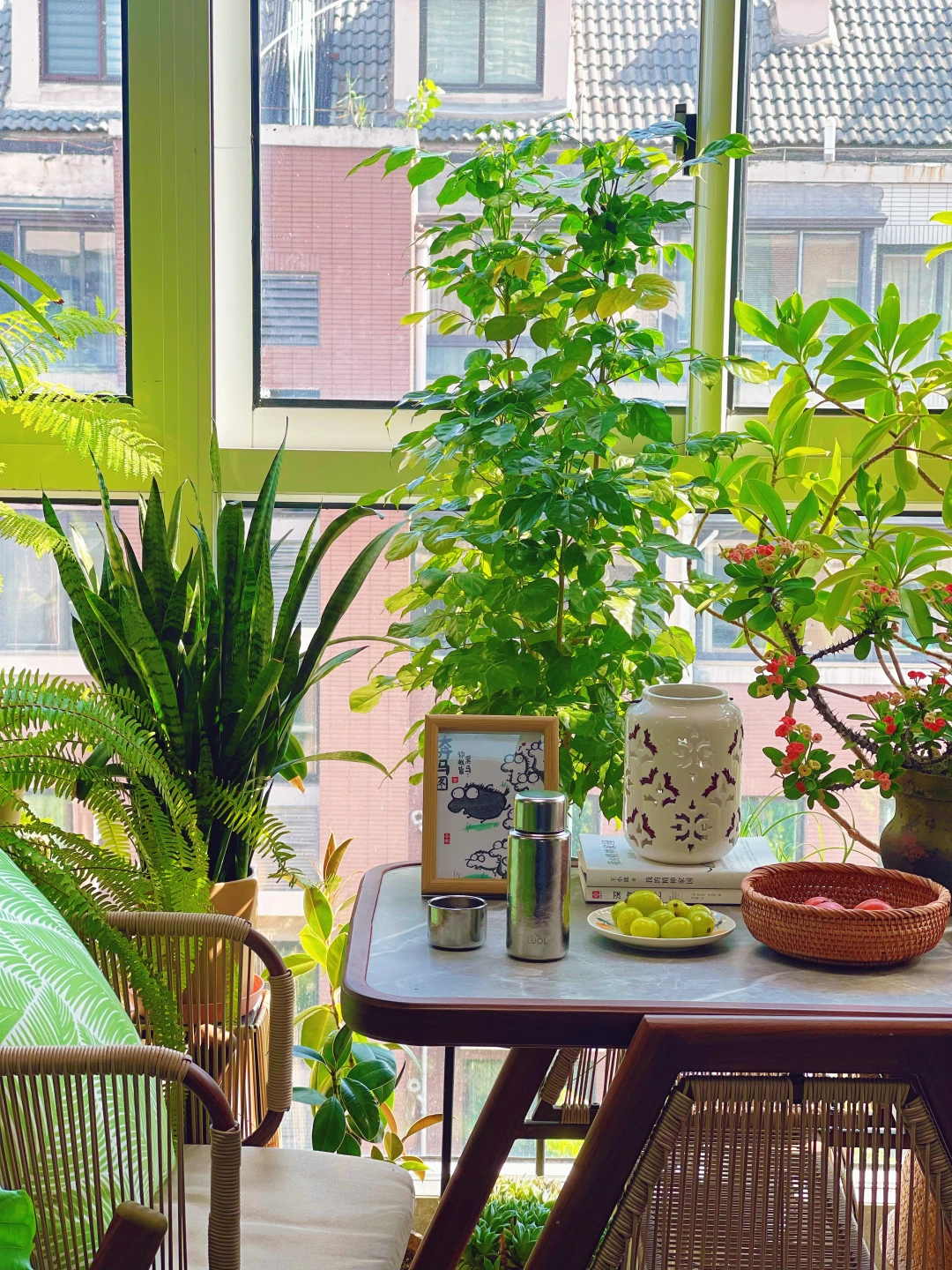 让普通人家的小阳台，拥有不普通的风景！