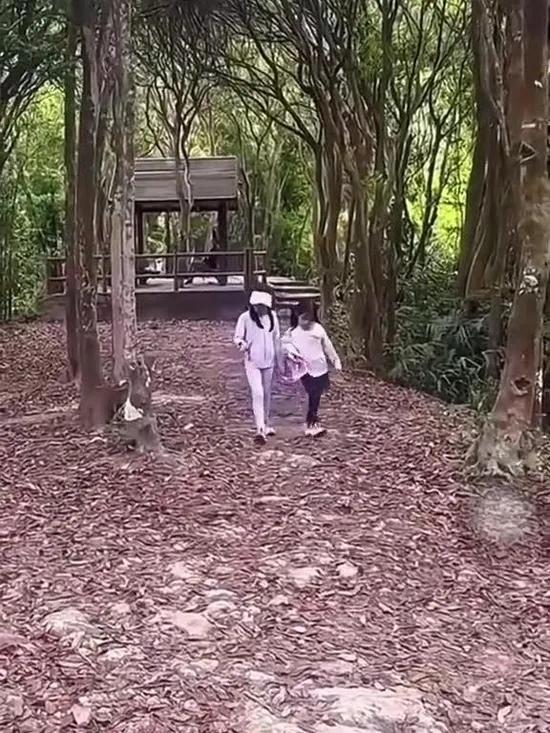 郭晶晶霍启刚“山系育儿”走红：亿万豪门爬出烟火气

近日港媒拍到夫妇携三子女徒步