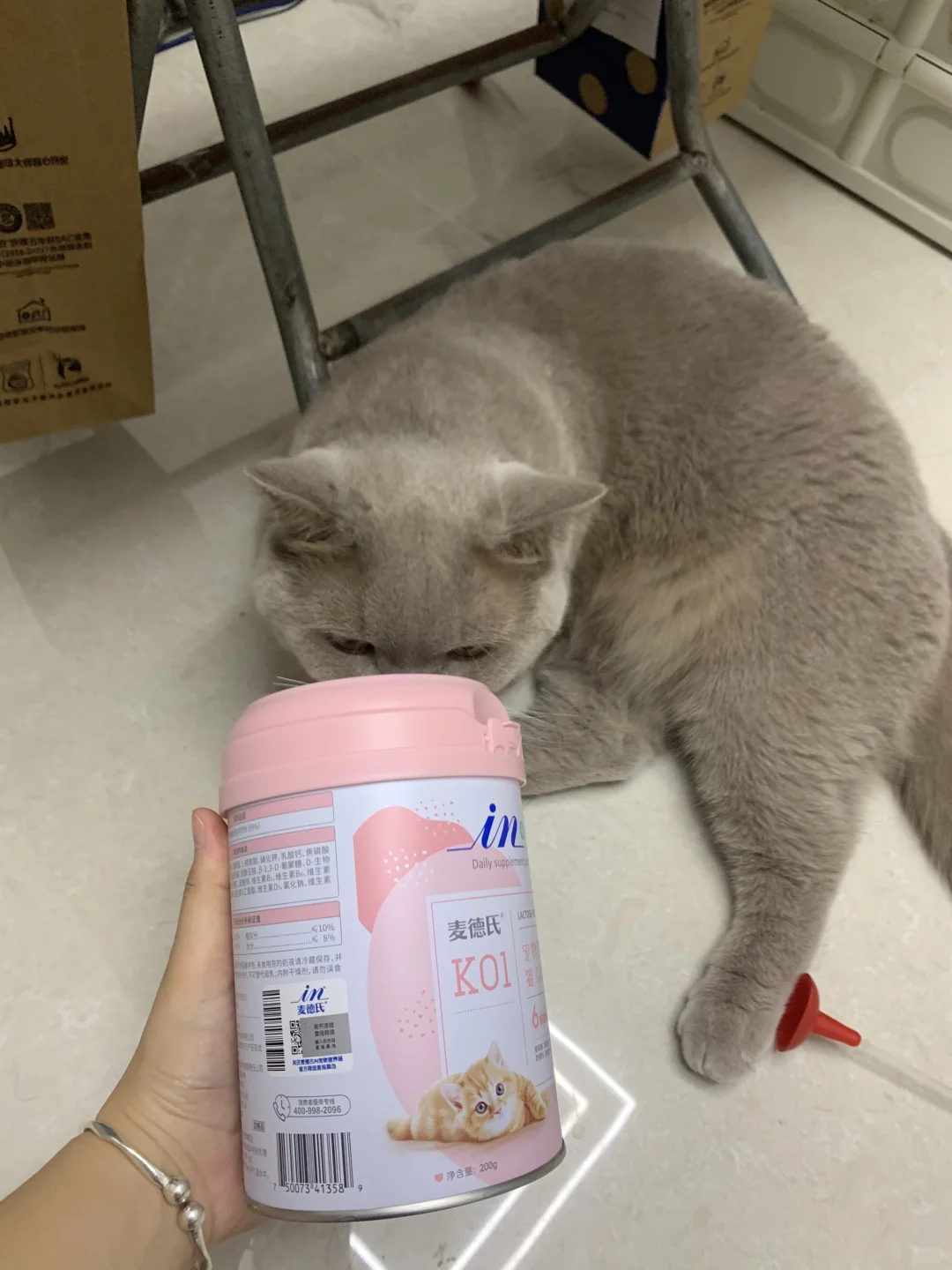 能让猫咪吨吨吨的好物