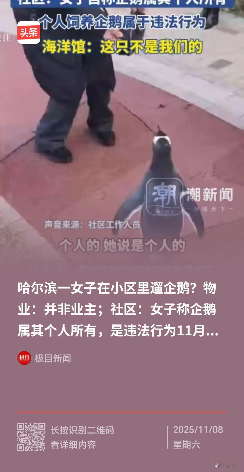 近日，哈尔滨一女子在小区里溜企鹅引发关注，社区明确指出这一行为违法。根据《野生动
