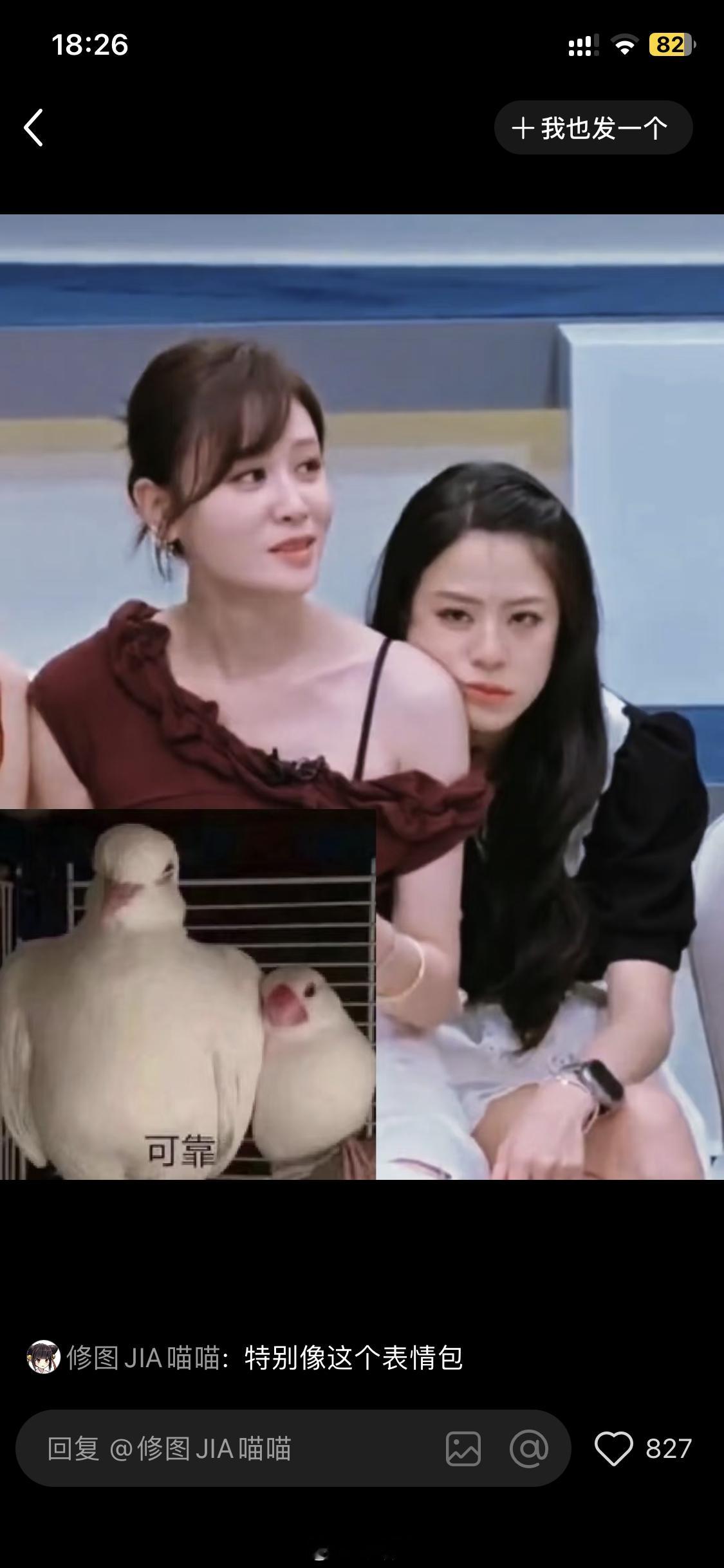 乘风2026 叶一茜亲女儿雨橙和表女儿语晨