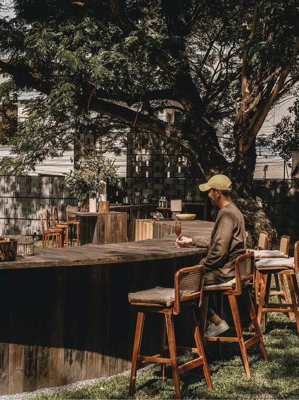 泰国旅行☕️ 曼谷中心森林咖啡店和超棒民宿