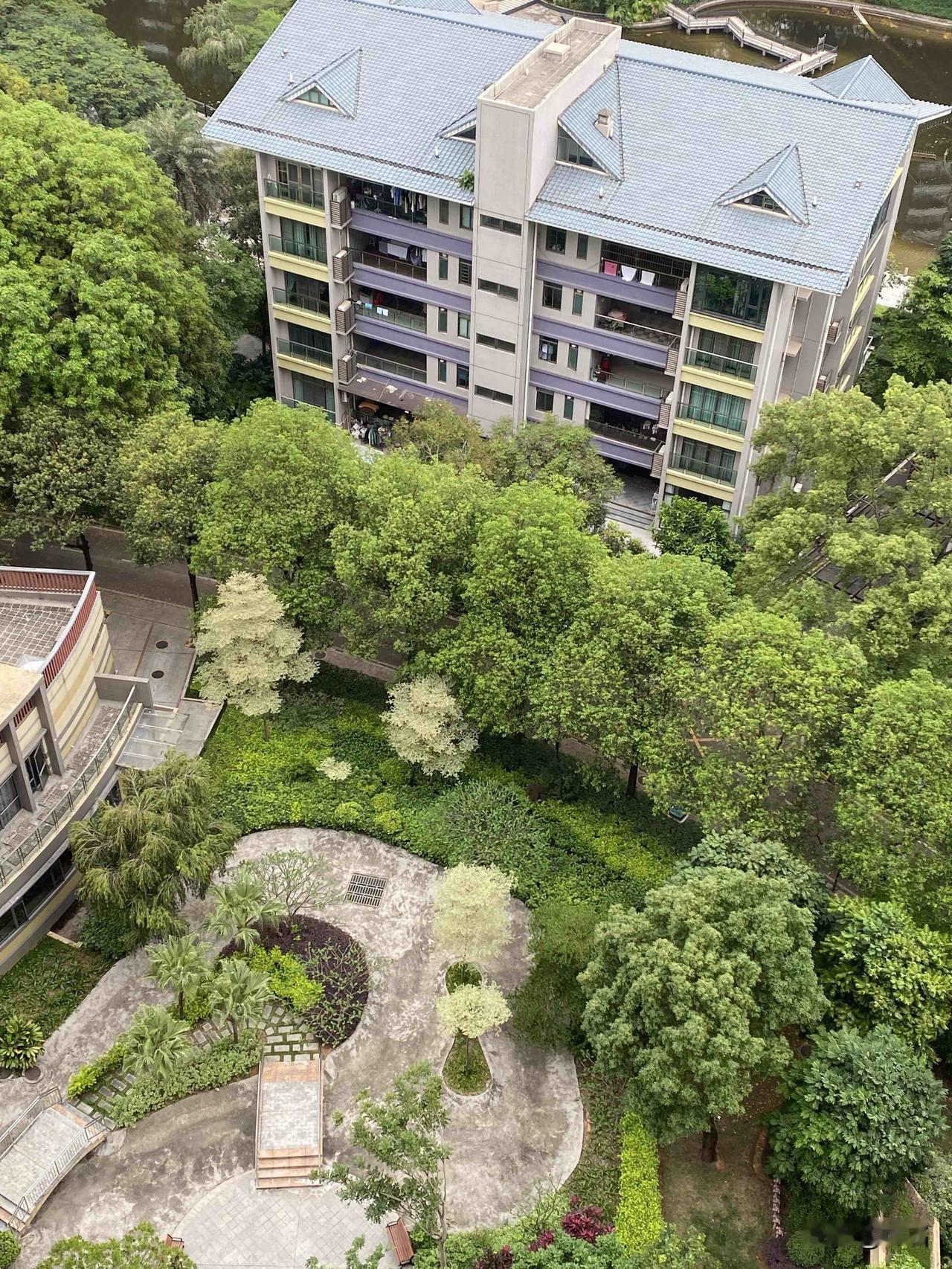 站在高处，
楼下是精心打理的园林。

春有新绿，
夏有浓荫，
四季景致都不一样。