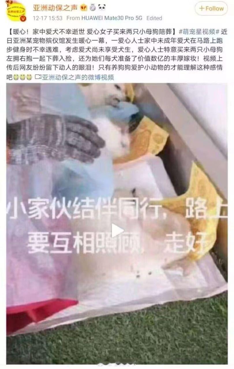卧槽，狗死了还安排殉葬。。 ​​​