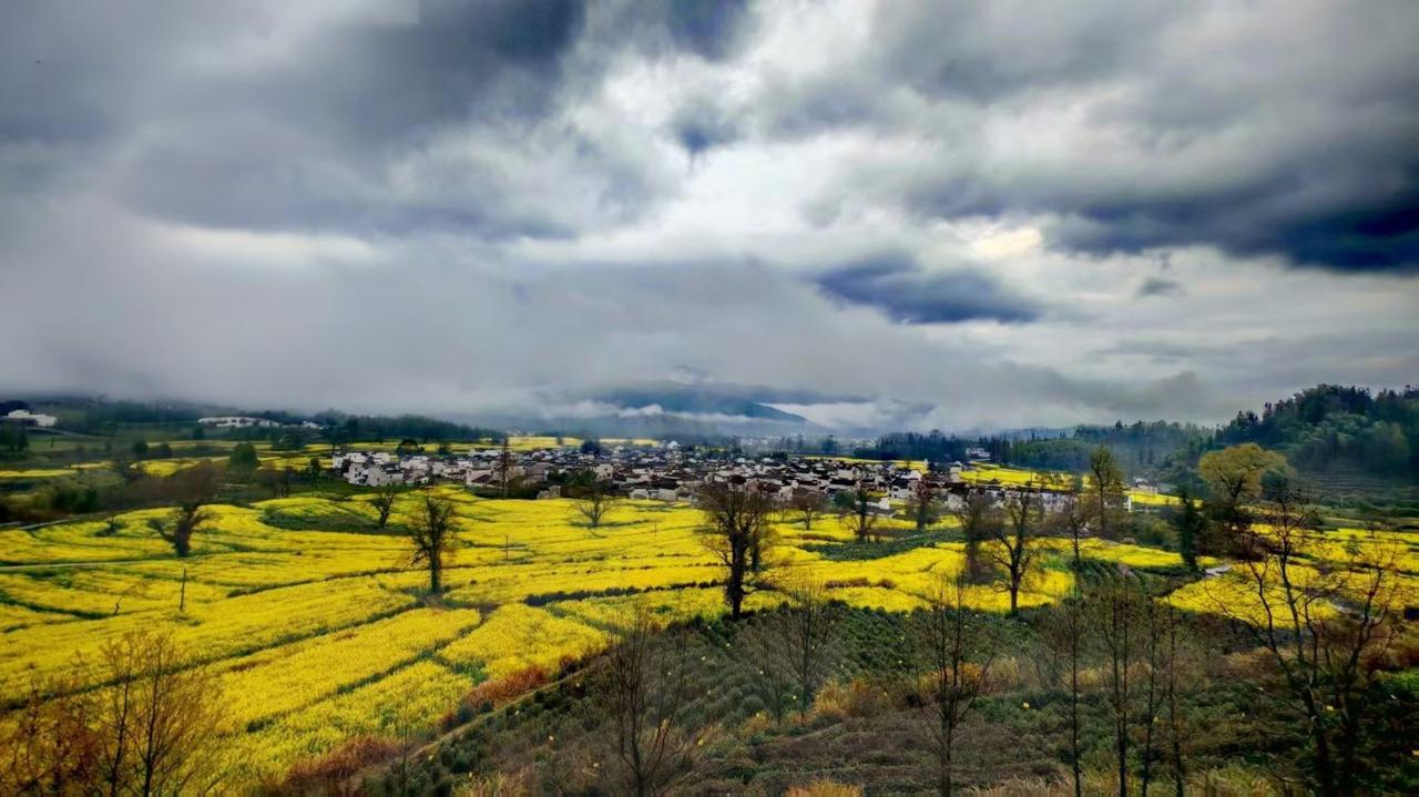 分享一下随手拍的风景云雾漫过山脊，金黄铺满田埂，白墙黛瓦藏在春里，这大概就是江南