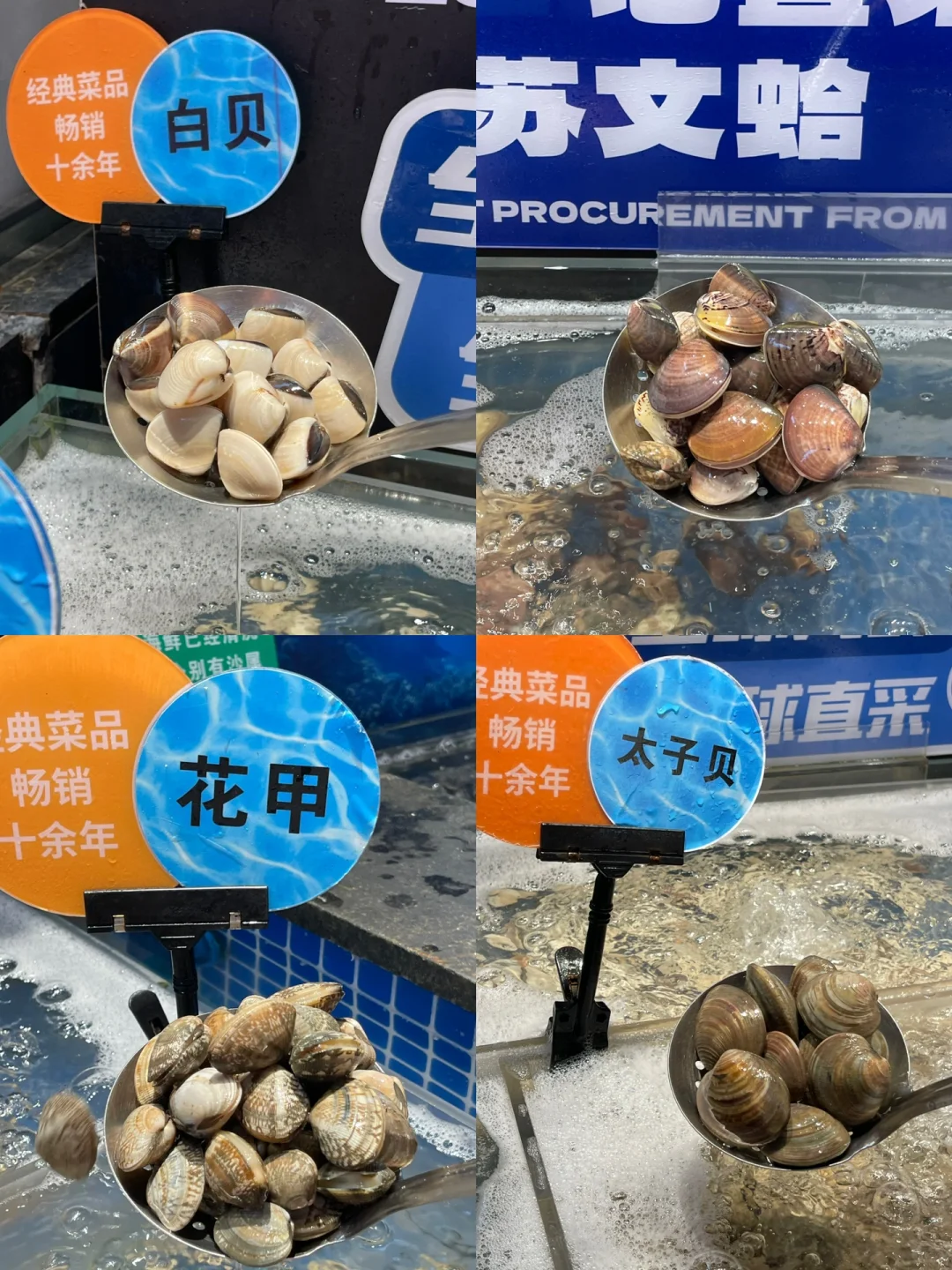 这海鲜自助是来报恩的吧..💥宝们直接冲！