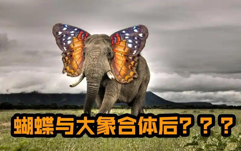 合成生物：下一个百亿赛道的“黑科技”
微藻蛋白革命：微藻蛋白可以替代鱼油、牛奶，