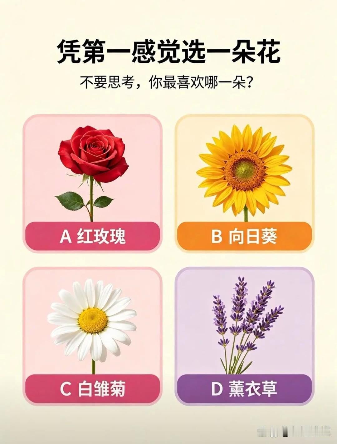 不要思考，你最喜欢哪一朵?