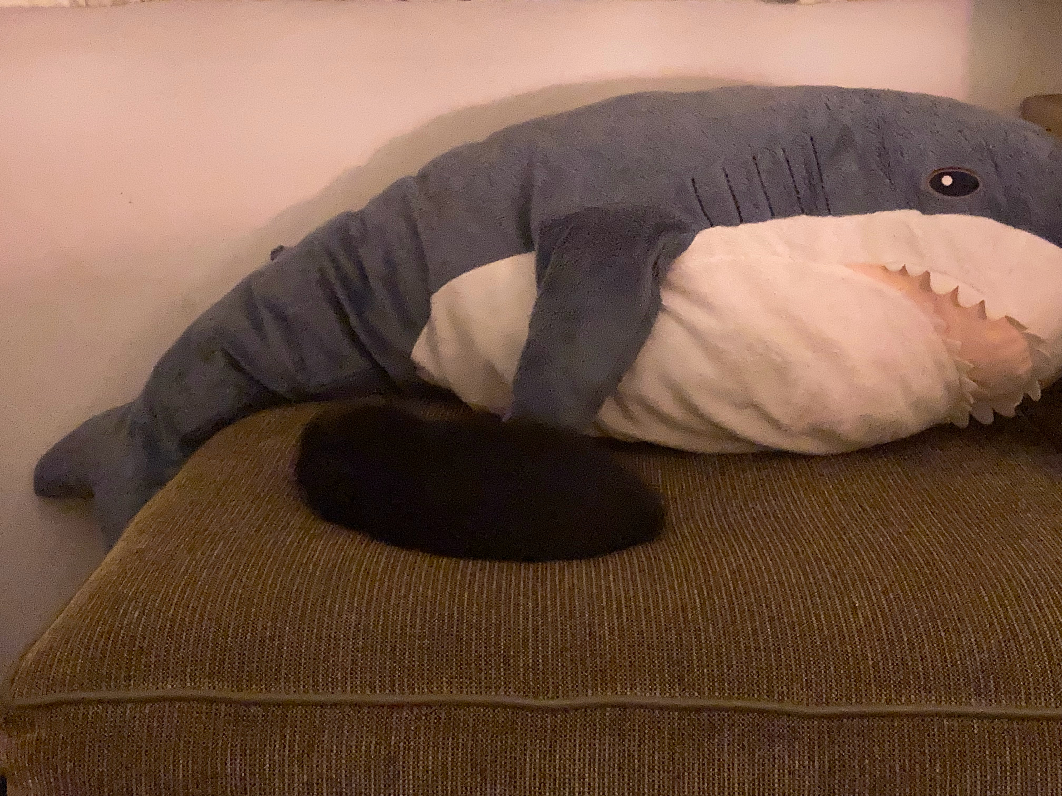猫猫终于不躲床底……到沙发上面来了（（睡得好像一条海参可以说吗