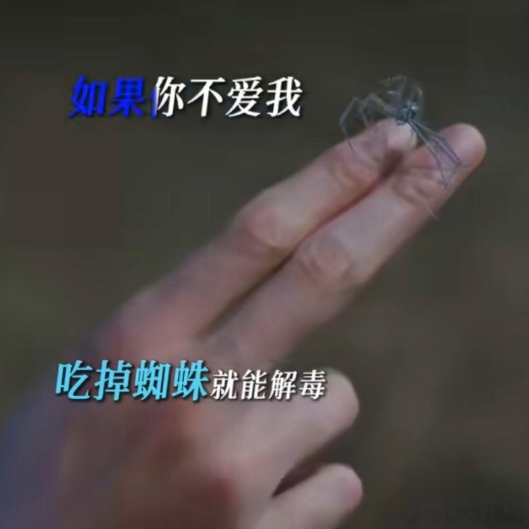 苏暮雨敢吃我不敢看不是龚俊新剧怎么吃蜘蛛解毒啊，苏暮雨敢吃我都不敢看嘞，谁懂苏暮