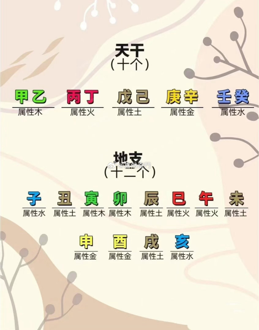 干支意义天干主外，代表外在的东西地支主内，代表内在的、内心的。年柱:都说是代表祖