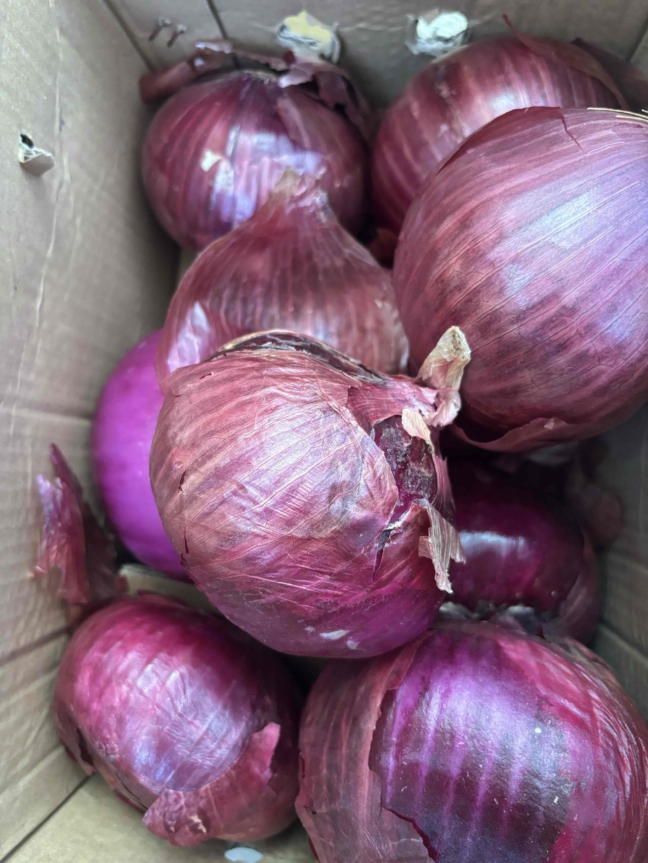 这是我在抖音商城上花10.9元买的洋葱，每一个都足足有一斤重，而且新鲜、饱满，这