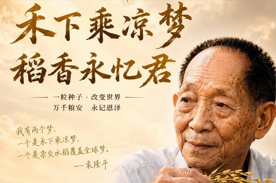 自媒体成就了一帮胆大，
但没底线的网红，
百万网红为流量毫无底线，
连袁老先生都