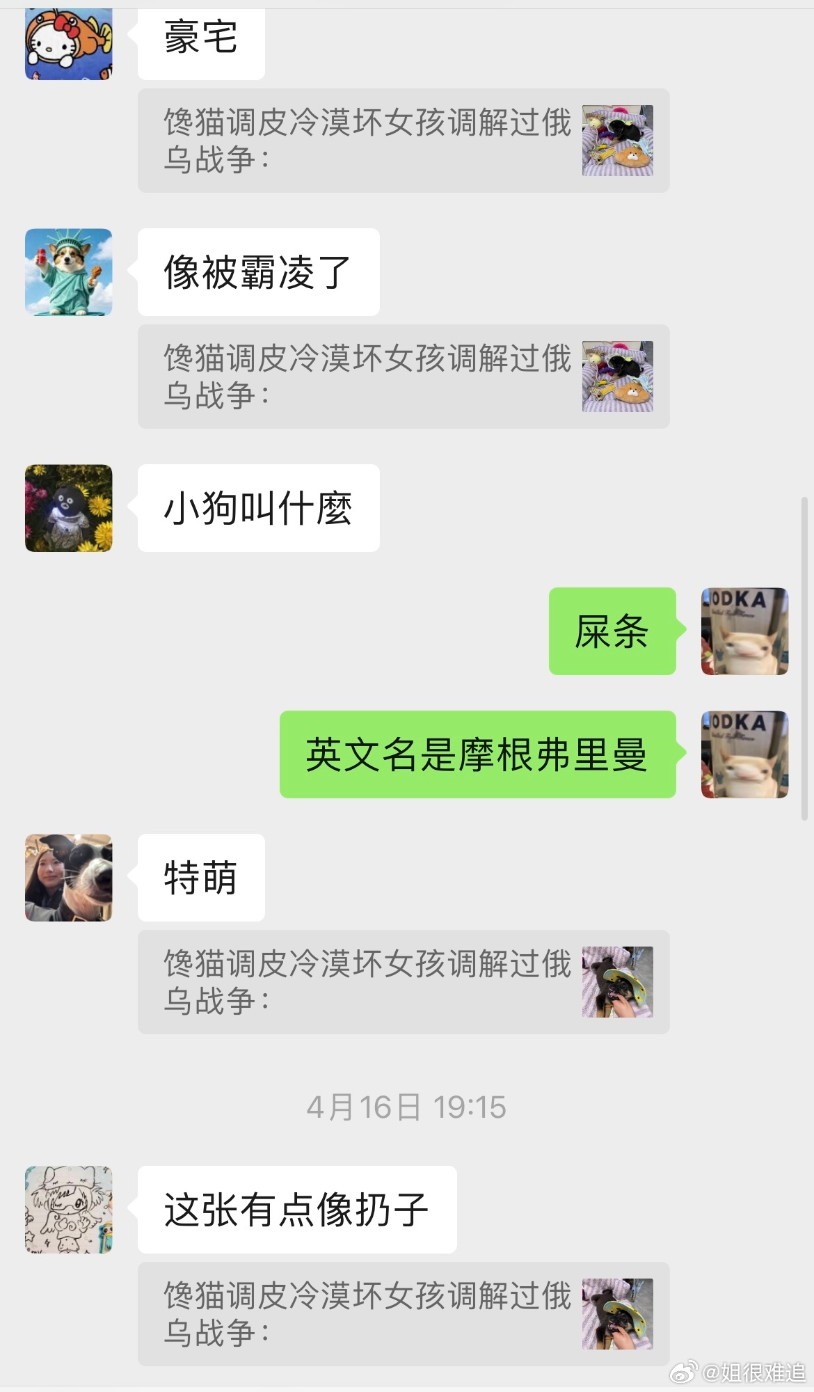 呵呵。。和外国人出去他们会问我狗叫什么名字  我说叫摩根弗里曼 然后他们会问我为