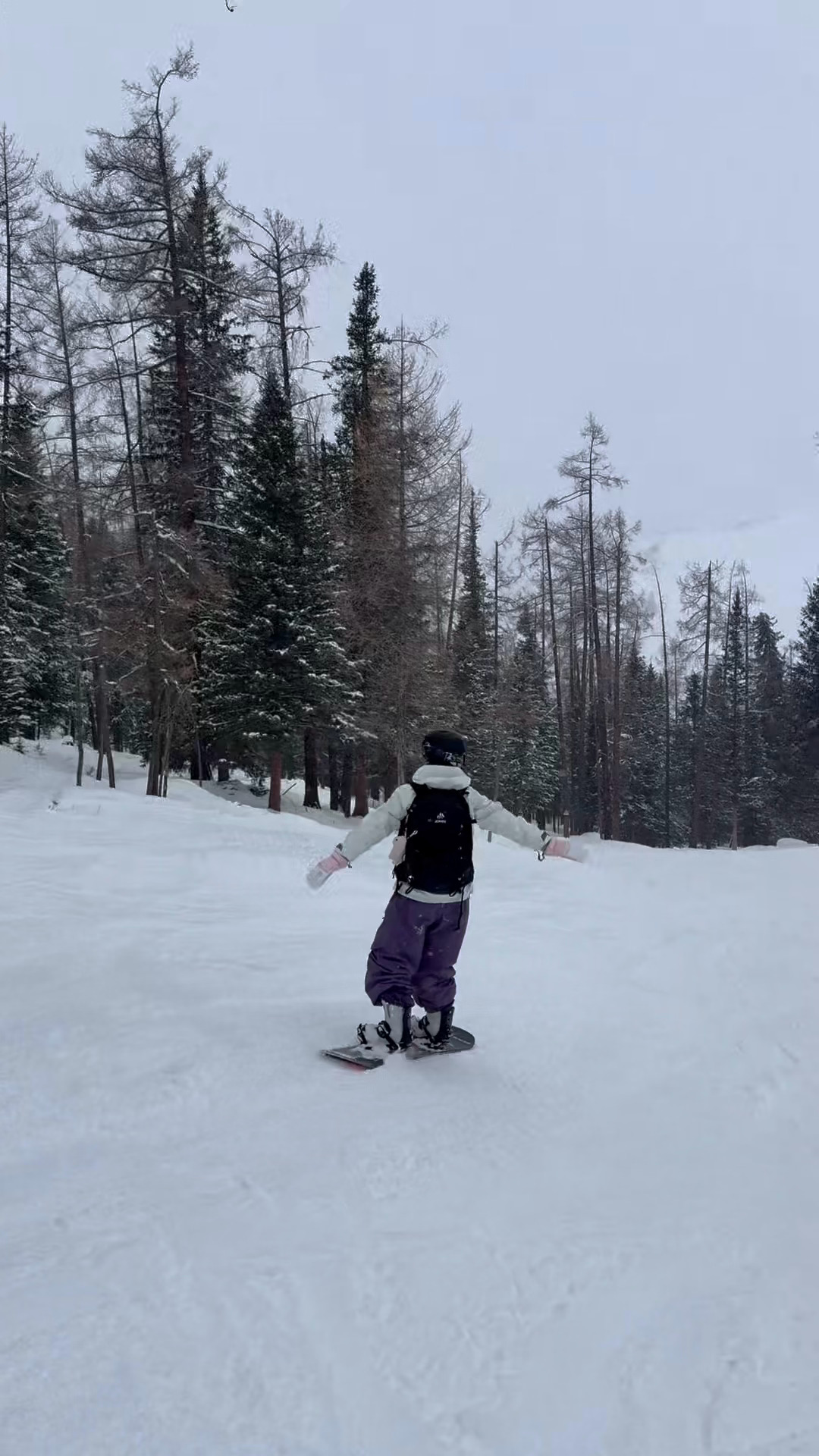 早杭州太热了，看点雪景降降温，距离开板也就三个月了！雨丝的日常