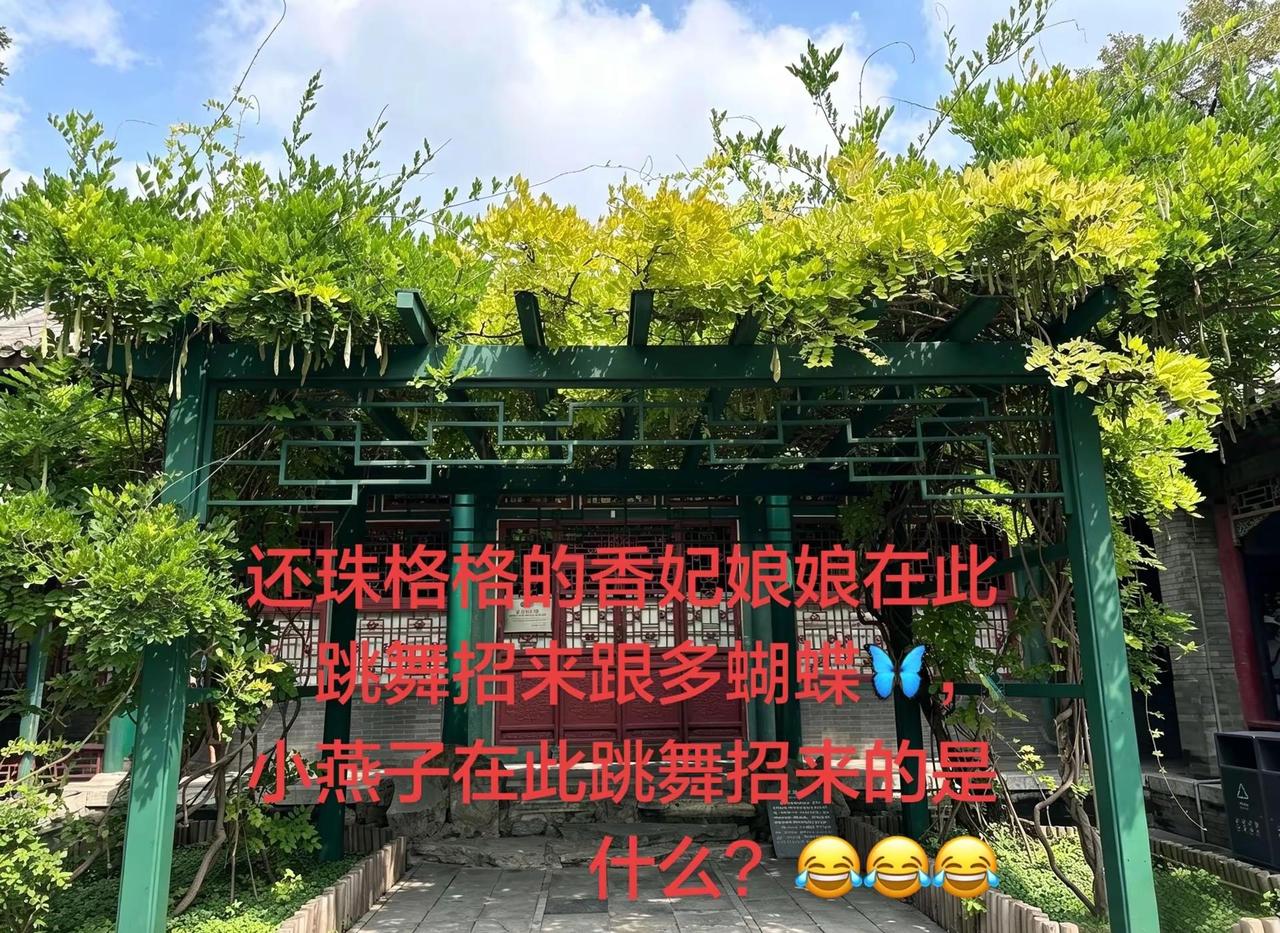 @DOU+小助手 还珠格格 还珠格格的香妃娘娘在此跳舞招来跟多蝴蝶🦋，小燕子在