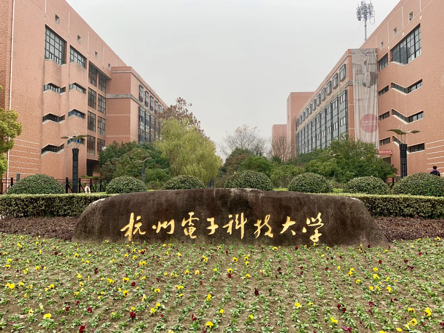 录取热门大学的热门专业，为何我觉得不理想？