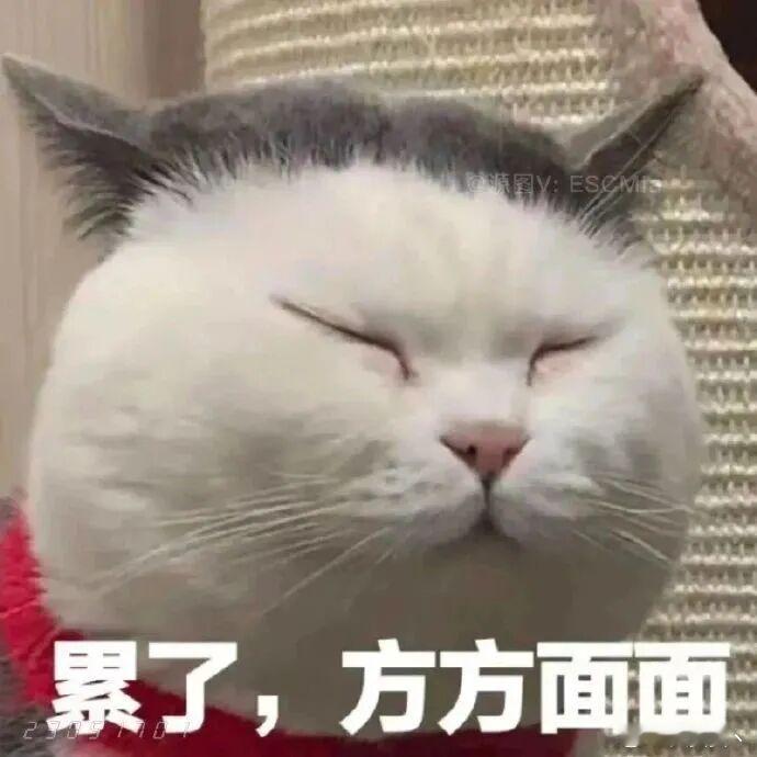 想法不同没什么，真正让人累的是，明明知道大家的想法不一样，却还要一次次把自己的想
