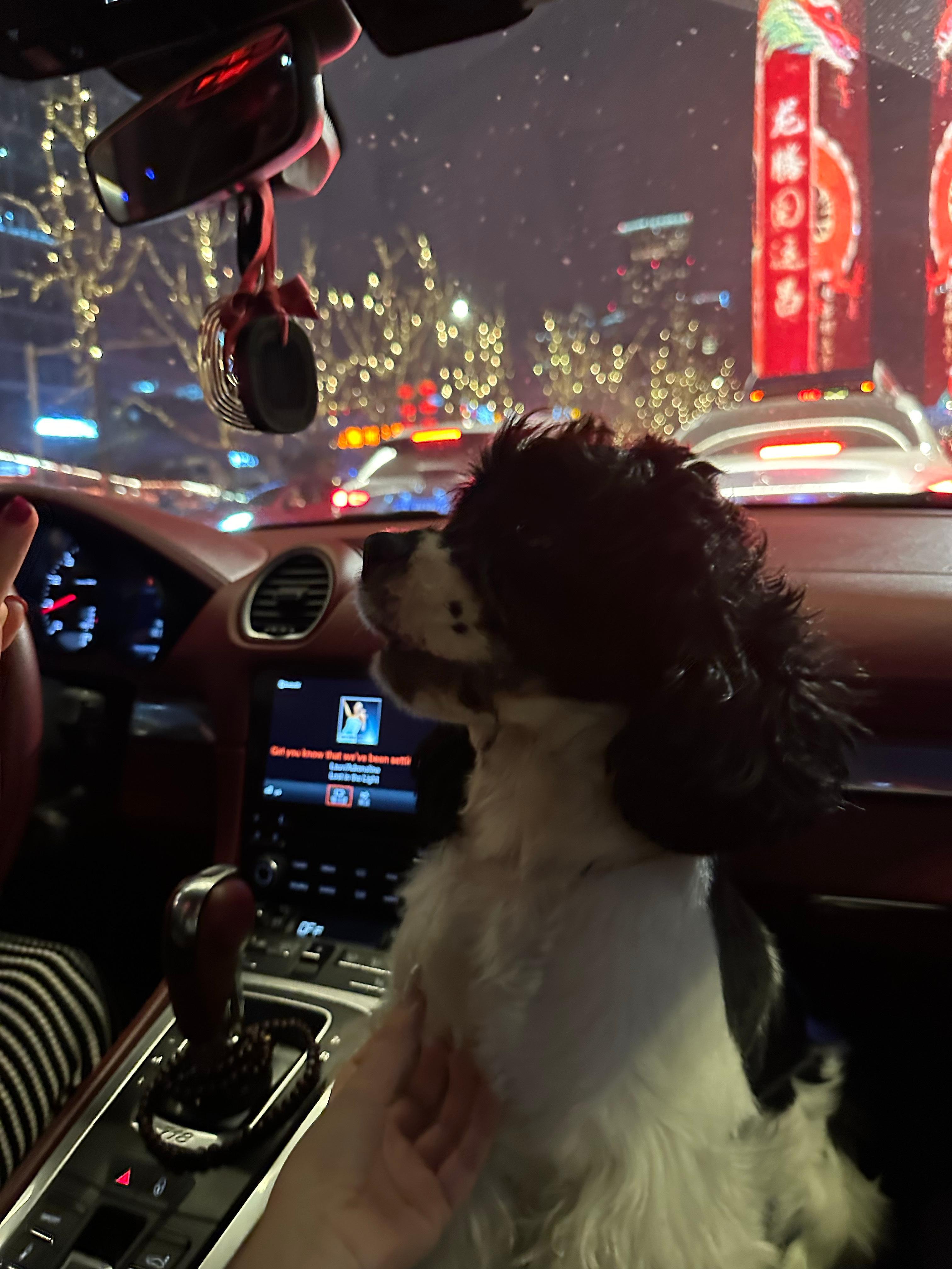 回家的日子太幸福了  ​​​