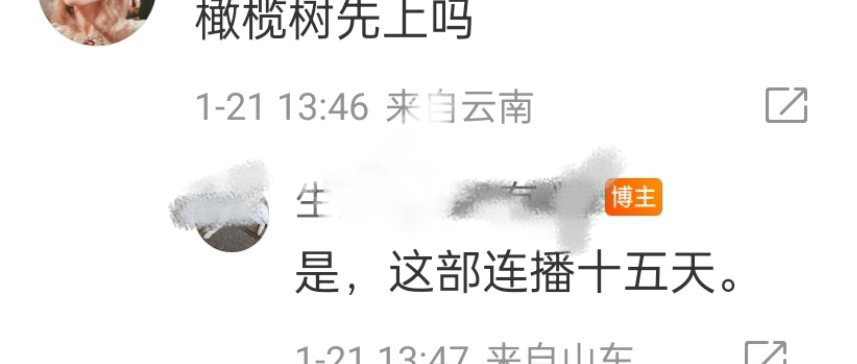 白色橄榄树连更15天？？？果真吗[疑问]🥝这对吗……春节档这么多剧和电影如果只