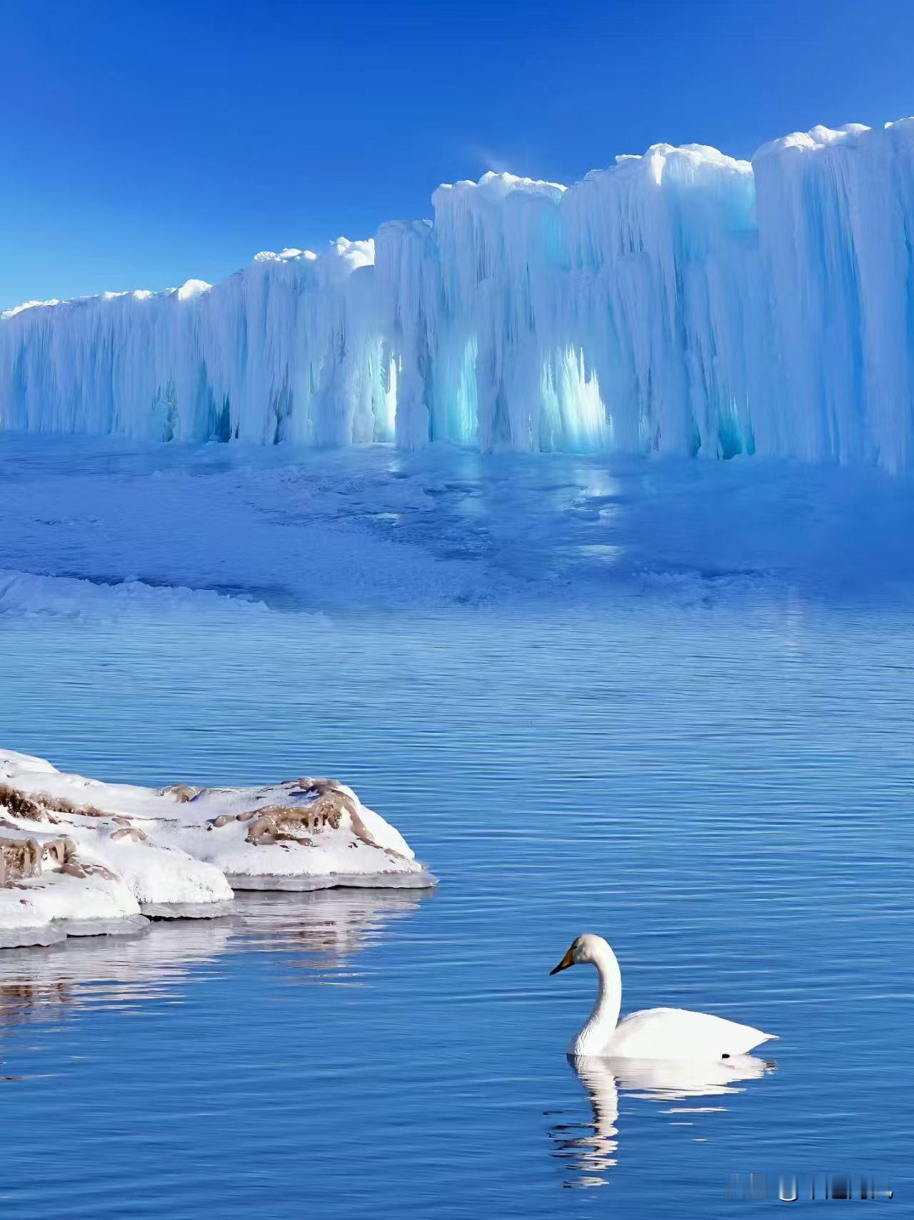 分享手机里最美的随手拍