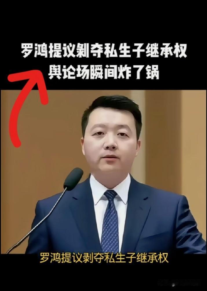 专家罗鸿这一嗓子，真是在平静的湖面上扔了颗炸雷！他强烈建议取消私生子女继承权，这