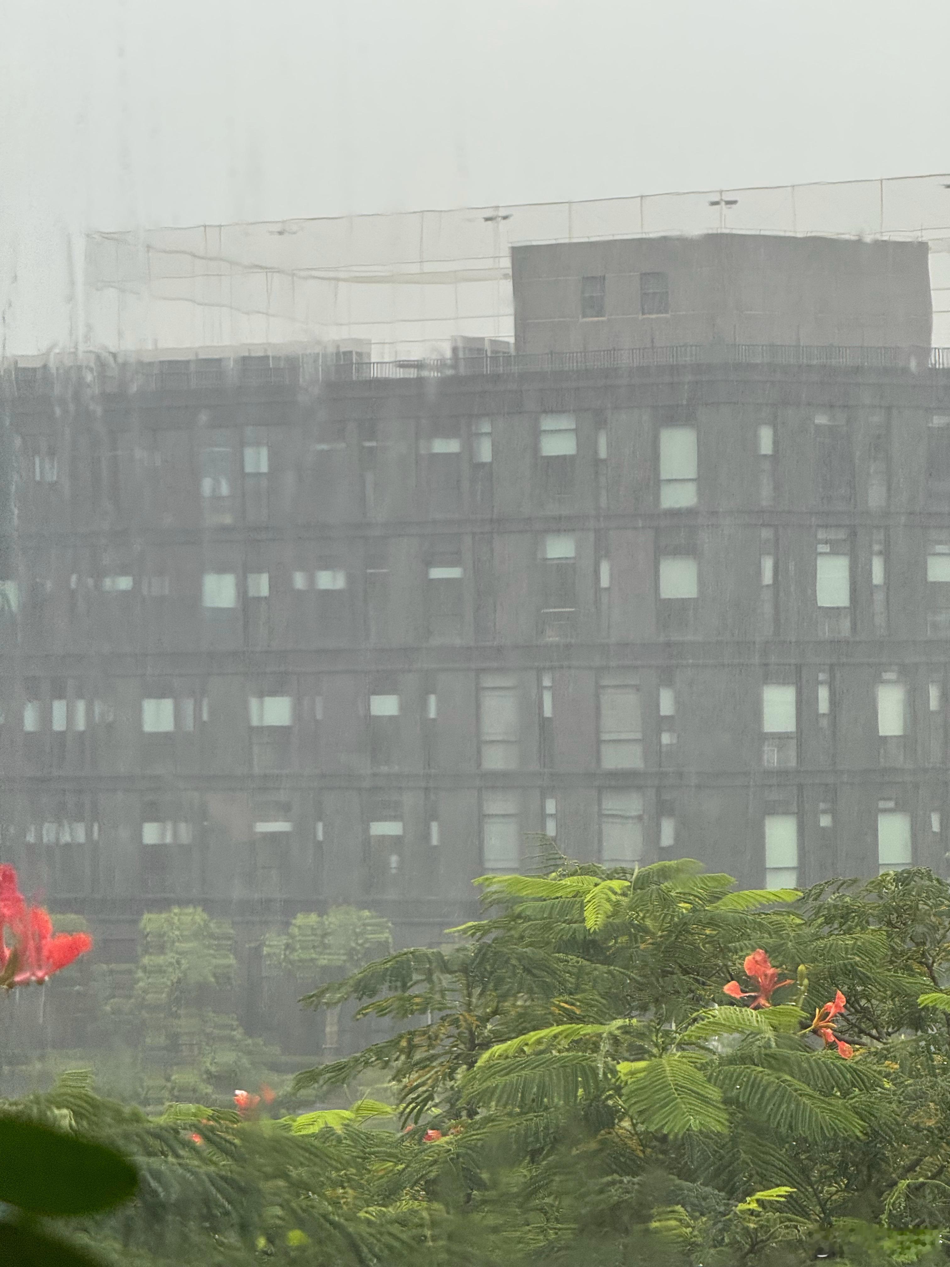 昨天广州下了一整天的雨吓得我定了明天7点多的飞机上（怕延误）结果今天广州艳阳高照