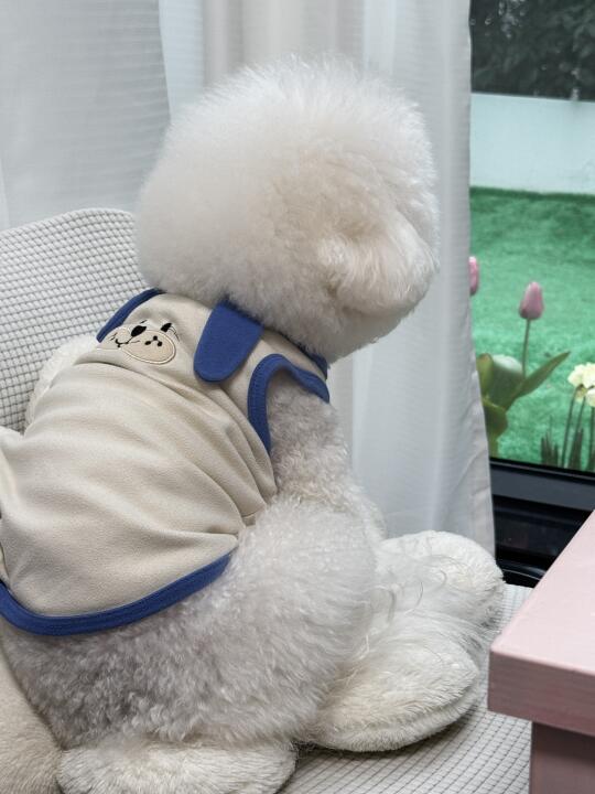 小狗的心事是什么呢