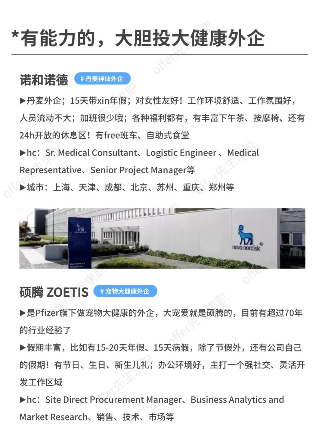 有能力的，建议大胆去投大健康外企