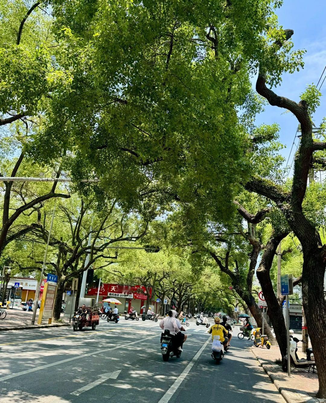 我时常提醒自己闭嘴，别和“朋友”多说话，不要好为人师，我以前就是闭不上我这个破嘴