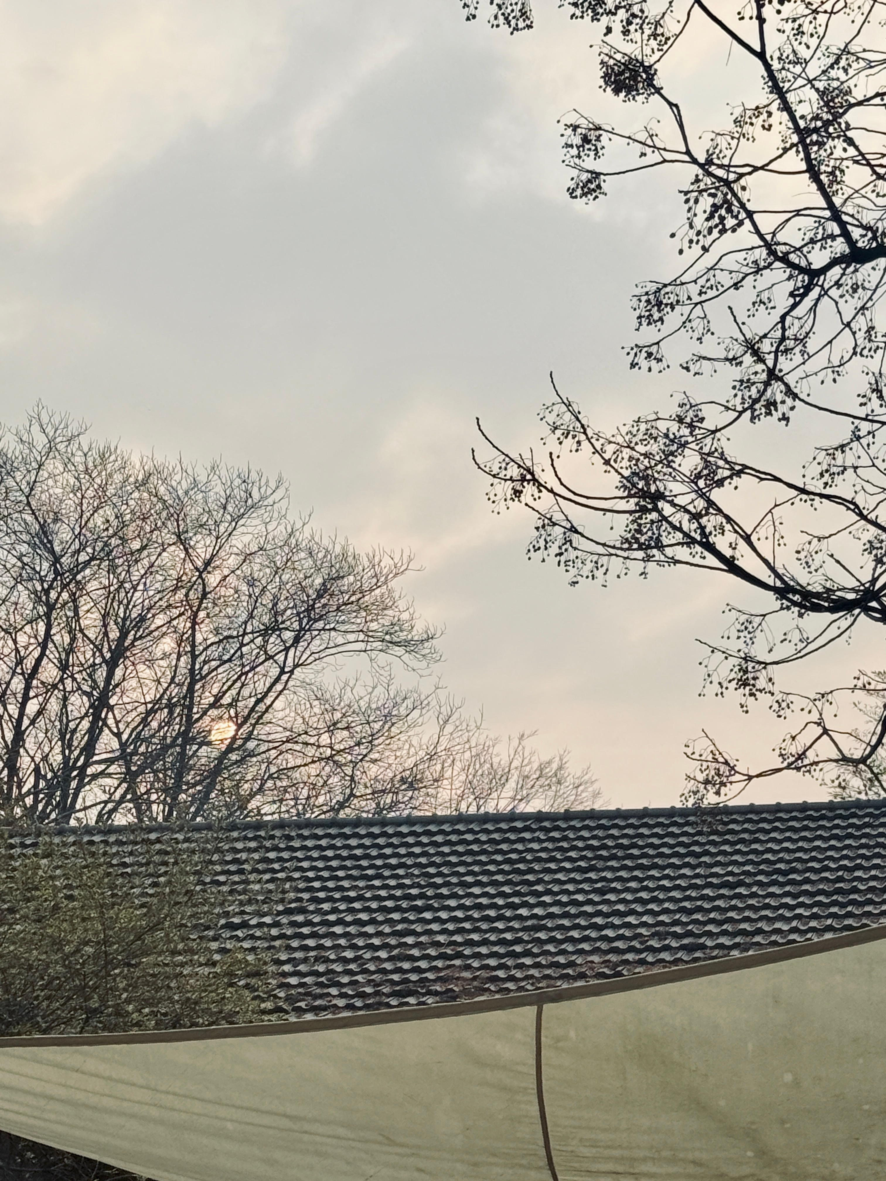 诺大的世界 周记这个丰富 