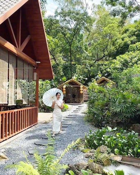 藏在江门里的世外桃源被我找到了
小院生活 茶系慢生活 茶生活 空间美学 小院改造