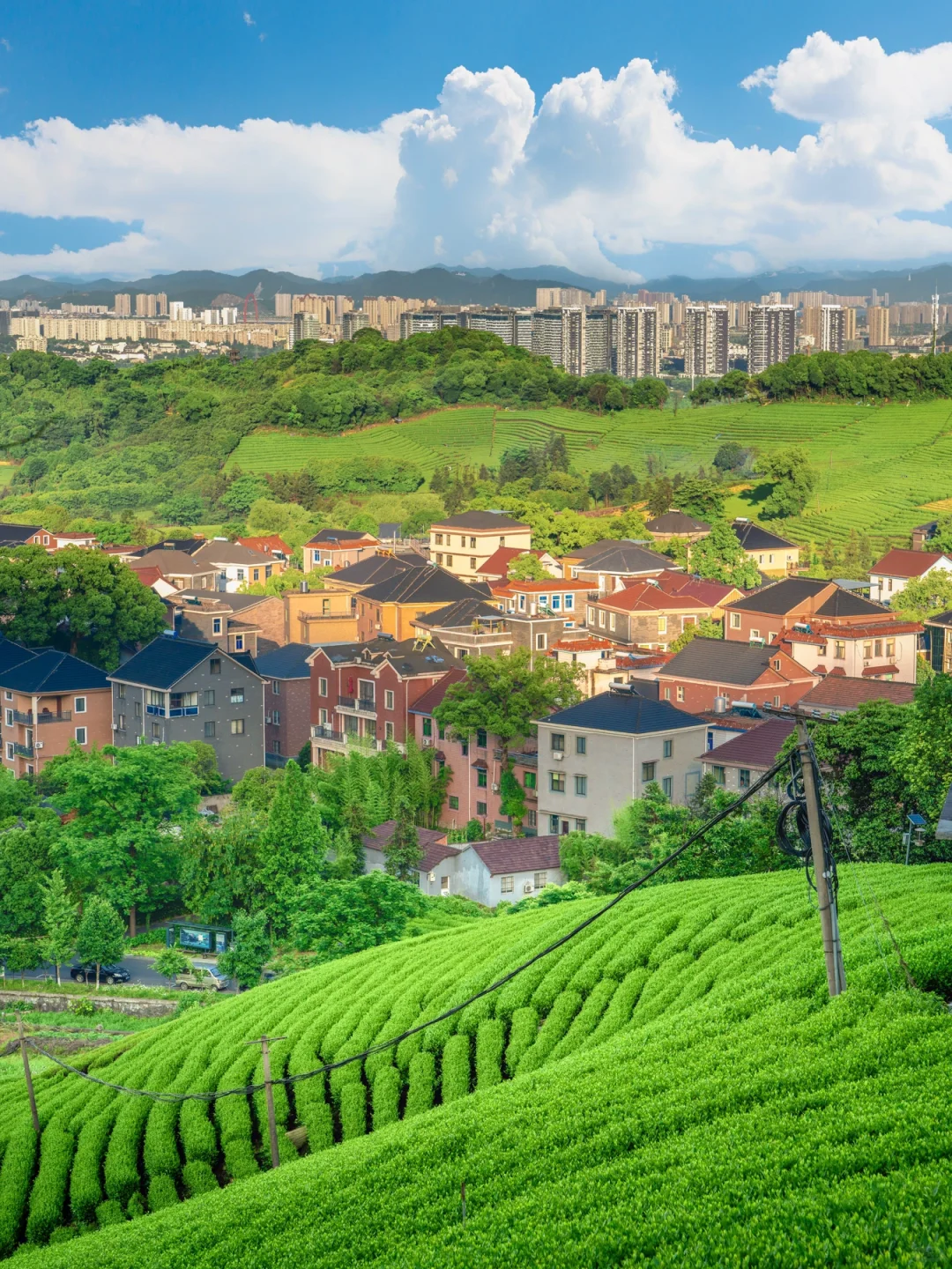 杭州本地人推荐，9⃣️条宝藏初夏徒步线🍃